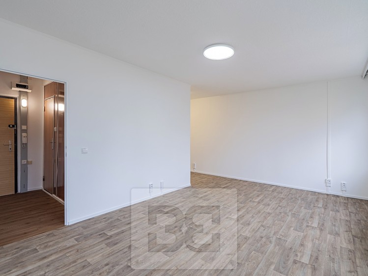 Pronájem bytu 1+kk 33 m² - foto 4
