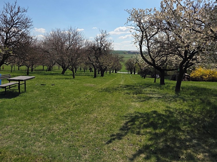 Prodej zahrady 4 967 m² - foto 5