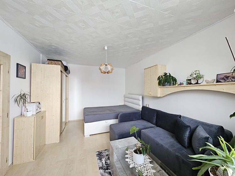 Pronájem bytu 2+1 49 m² - foto 2