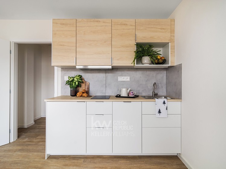 Pronájem bytu 2+kk 40 m² (Jednopodlažní) - foto 3