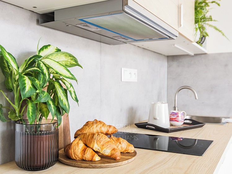 Pronájem bytu 2+kk 40 m² (Jednopodlažní) - foto 4