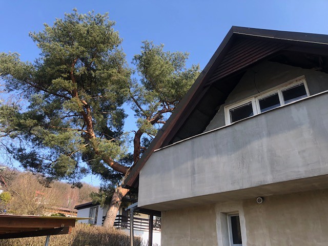 Prodej chaty 80 m², pozemek 307 m² - foto 4