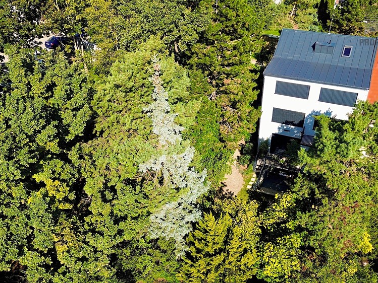 Prodej rodinného domu 287 m², pozemek 582 m² - foto 1