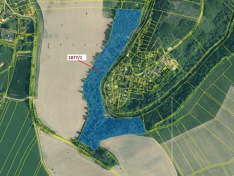 Dražba lesa 49 760 m² - foto 2