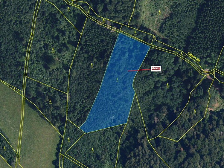 Dražba lesa 10 403 m² - foto 2