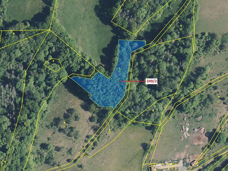 Dražba lesa 4 192 m² - foto 2