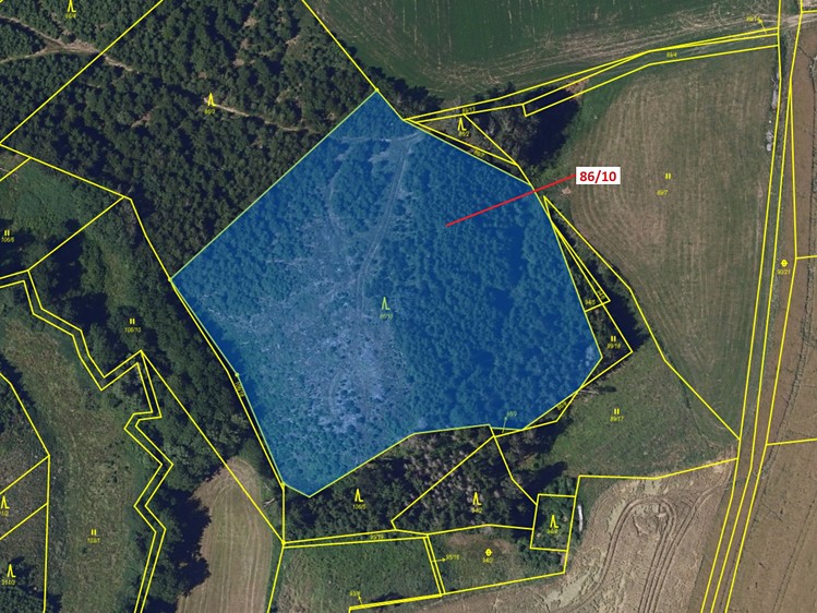 Dražba lesa 12 727 m² - foto 2