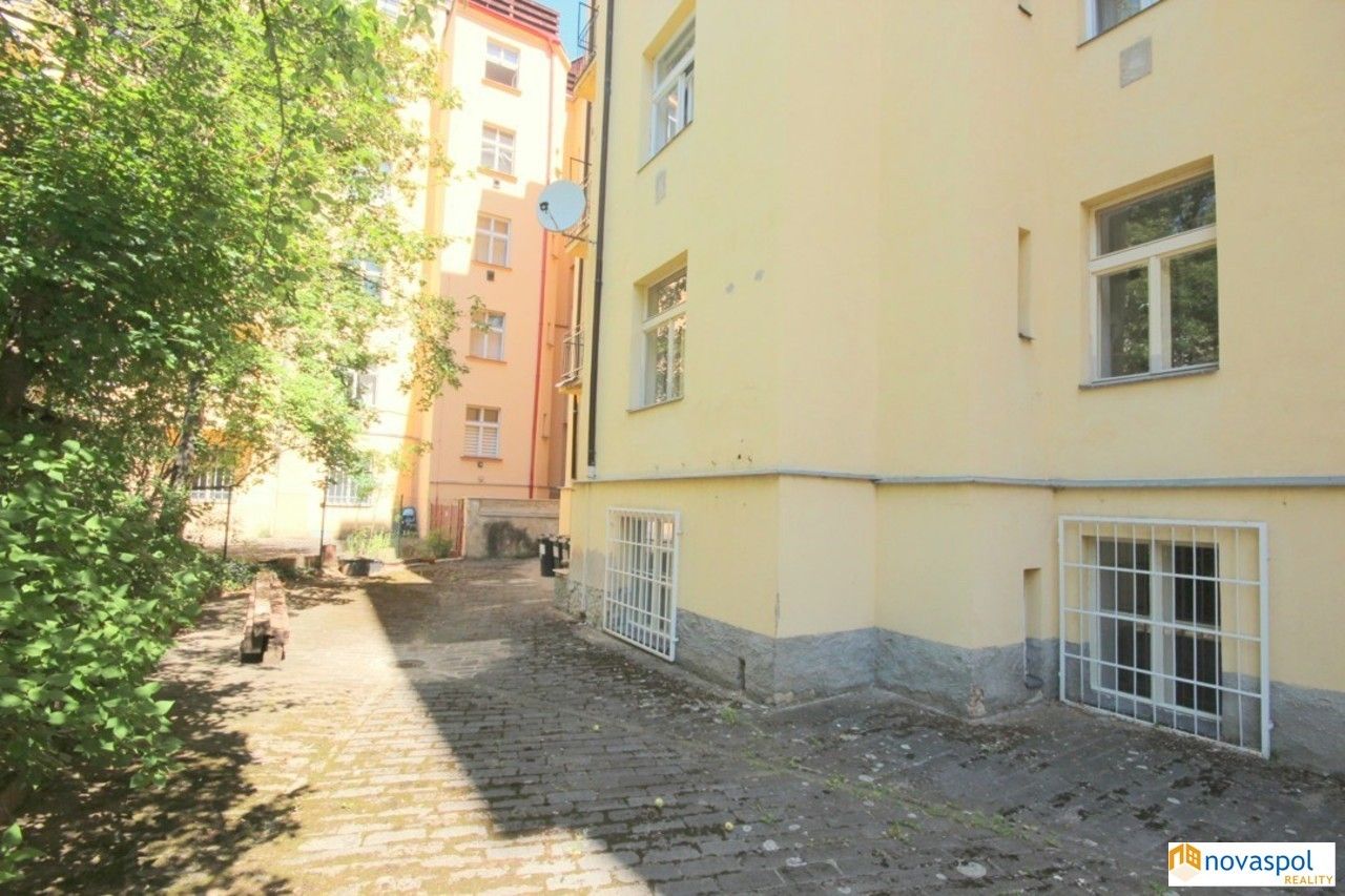 Pronájem bytu 2+1 47 m² - foto 9