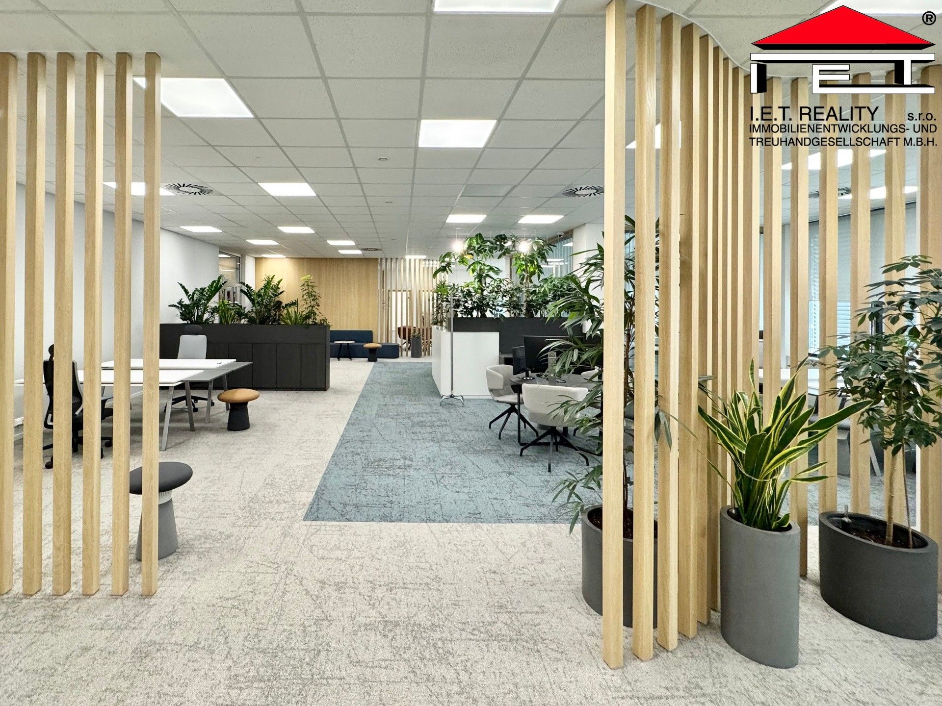 Pronájem komerčního prostoru 342 m² - foto 4