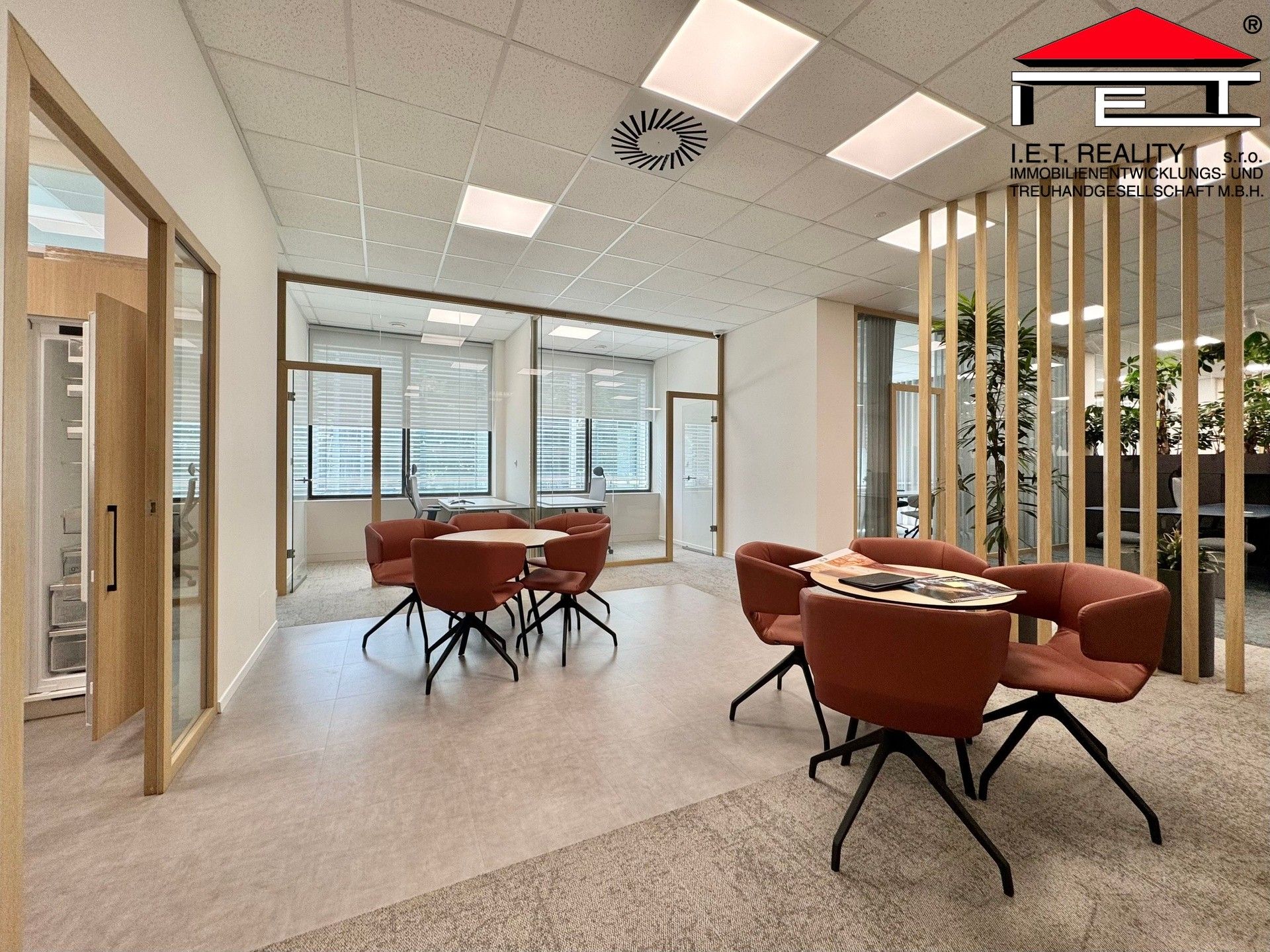 Pronájem komerčního prostoru 342 m² - foto 7
