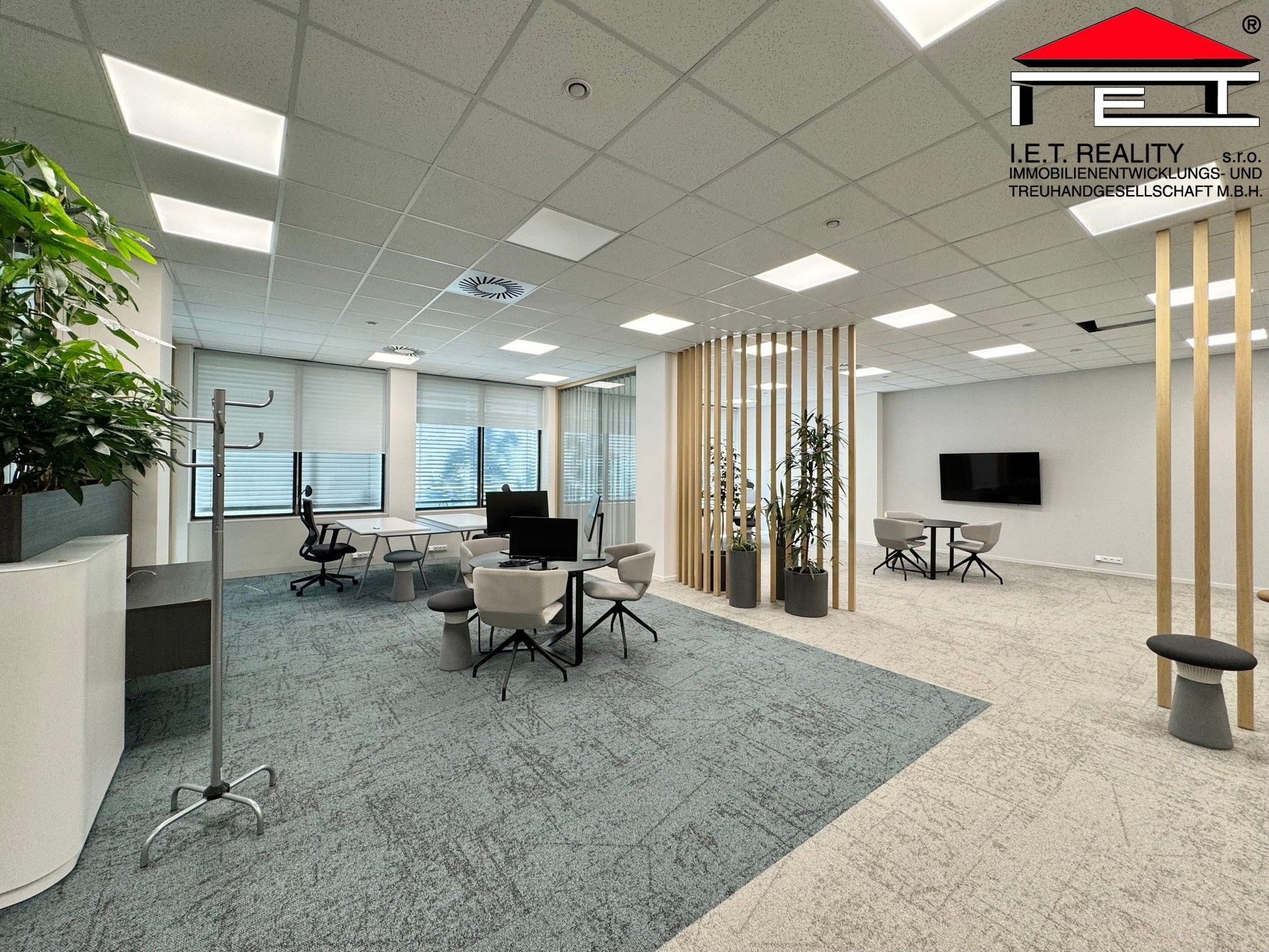 Pronájem komerčního prostoru 342 m² - foto 2