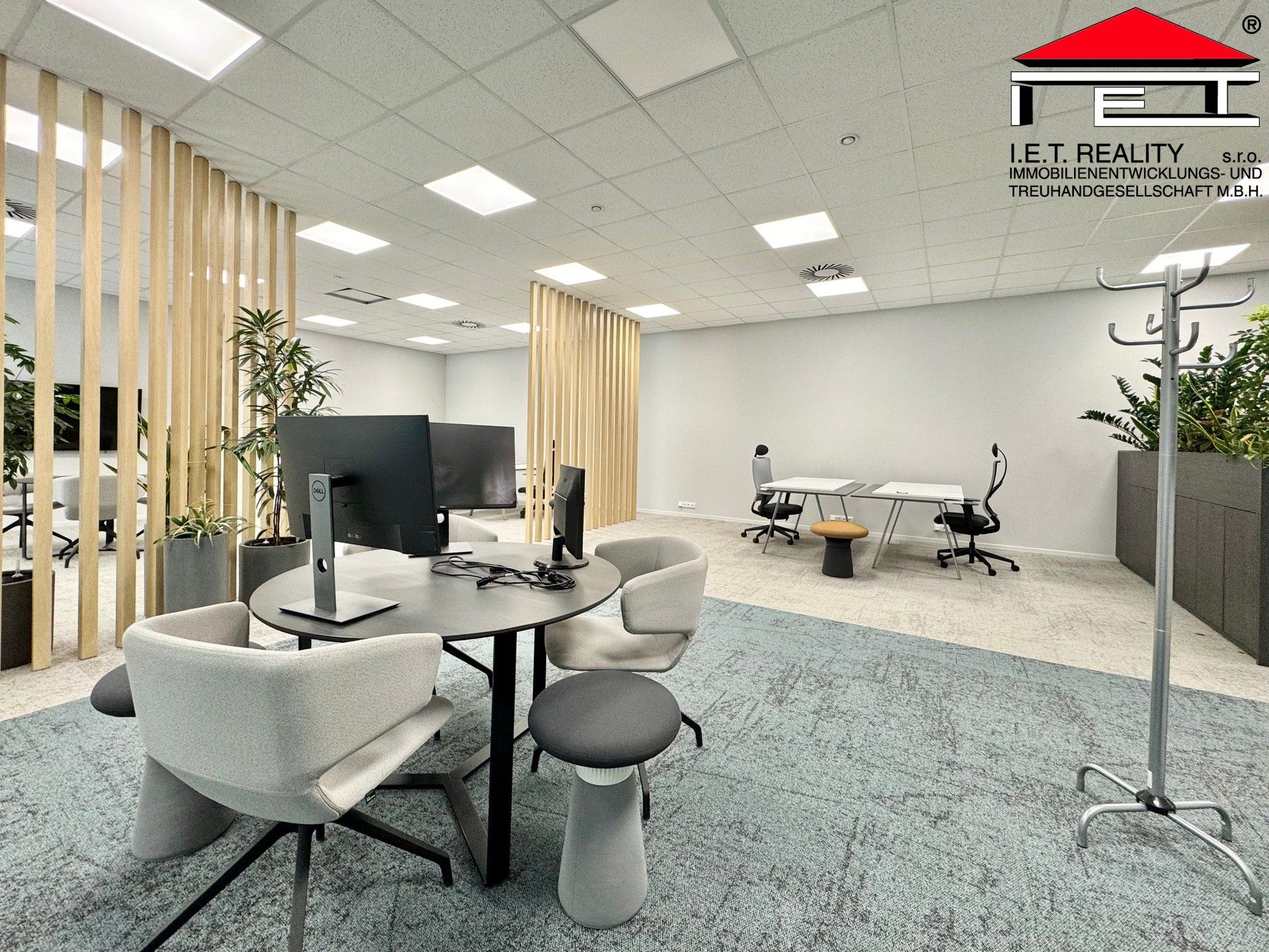 Pronájem komerčního prostoru 342 m² - foto 6