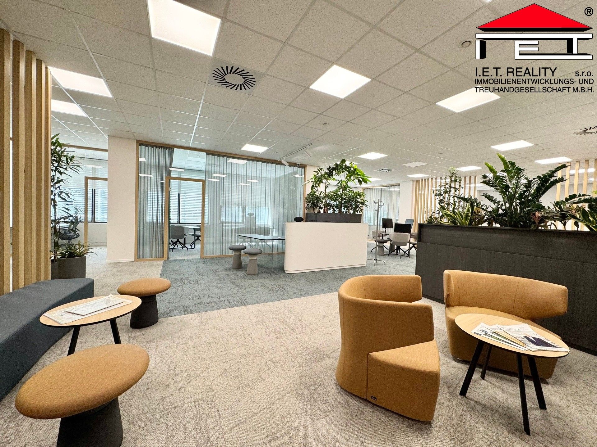 Pronájem komerčního prostoru 342 m² - foto 1