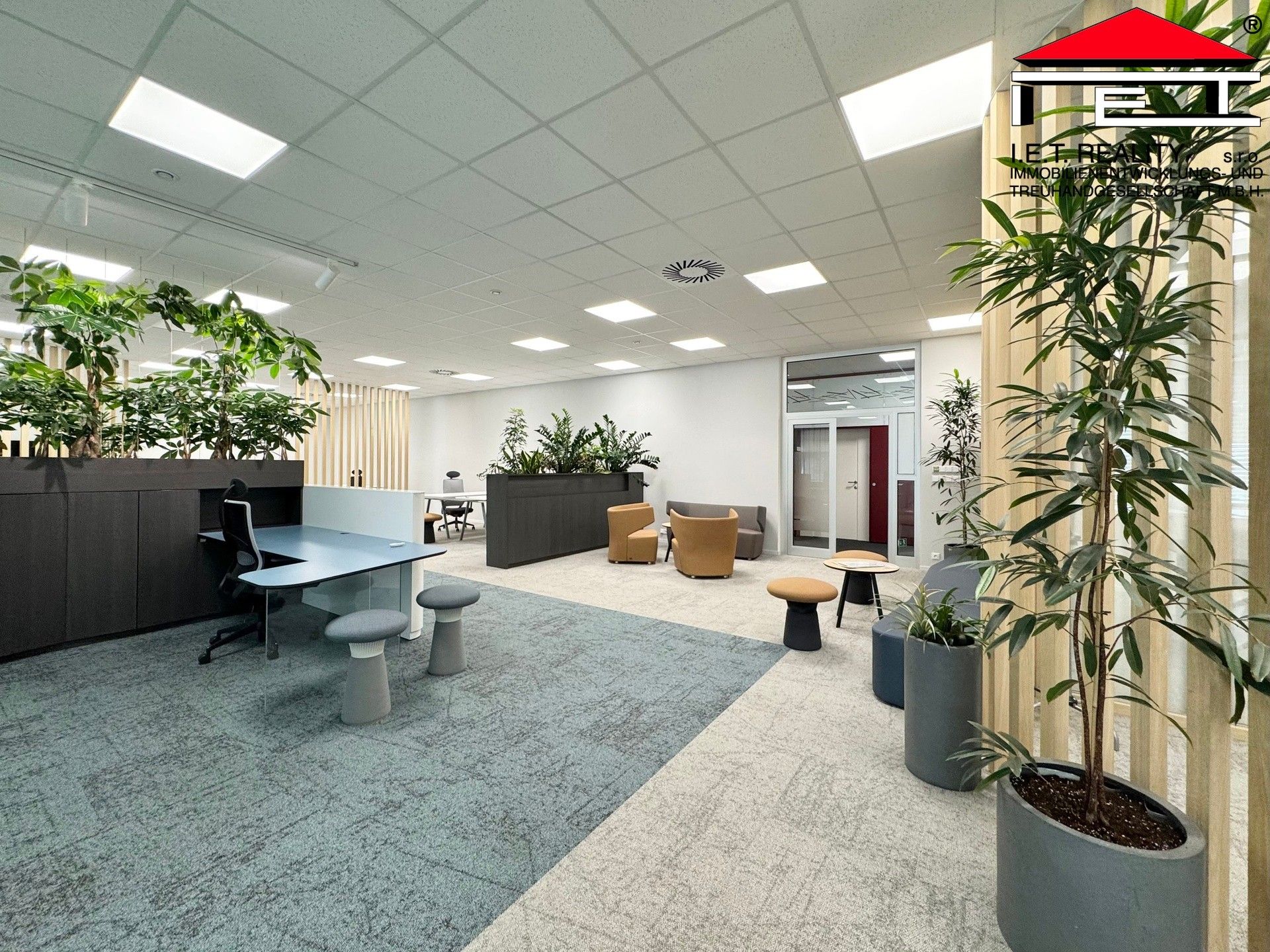 Pronájem komerčního prostoru 342 m² - foto 3