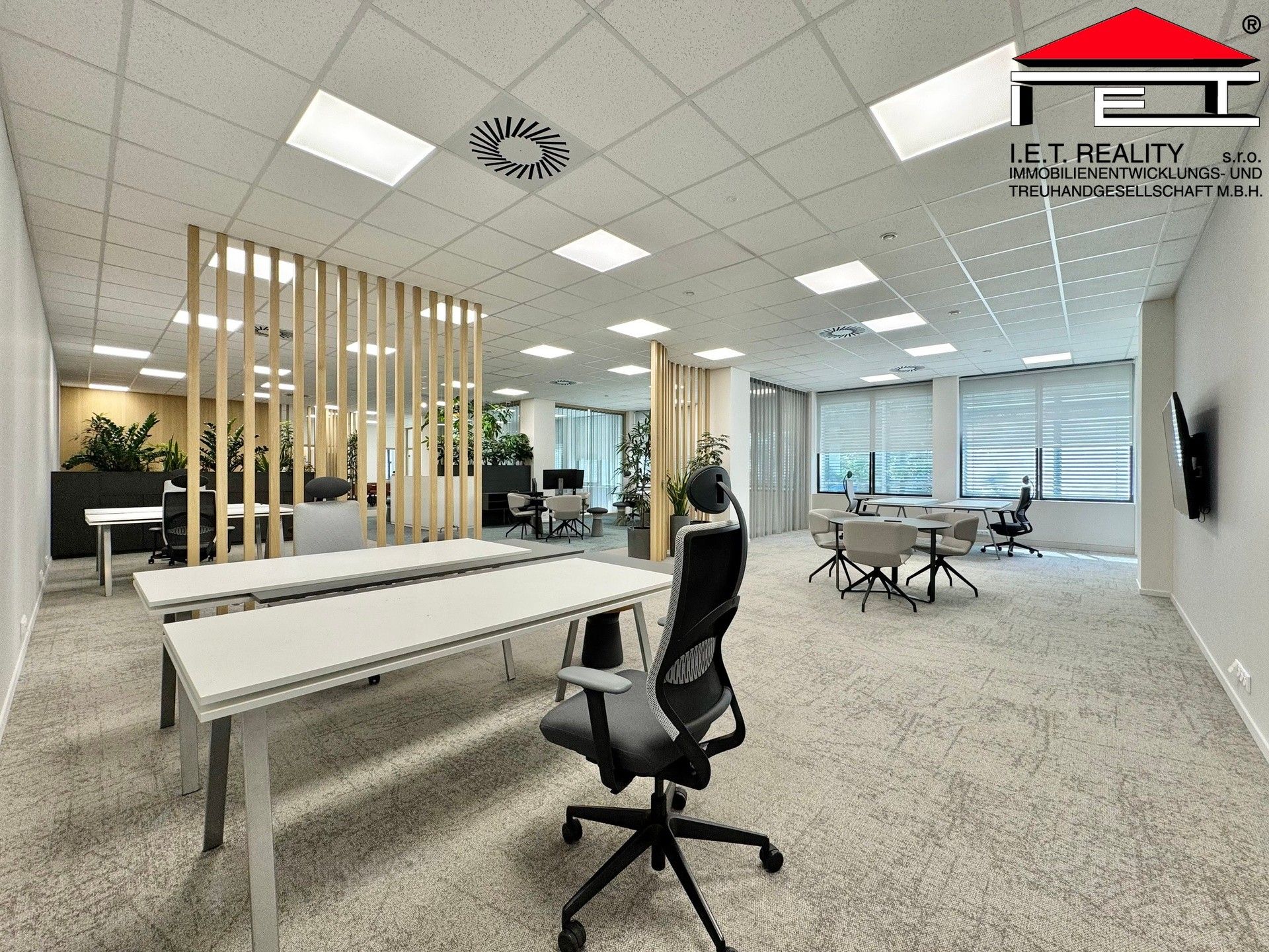 Pronájem komerčního prostoru 342 m² - foto 5
