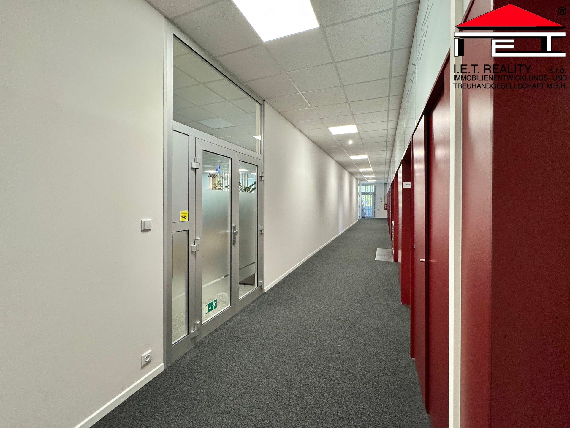 Pronájem komerčního prostoru 342 m² - foto 16