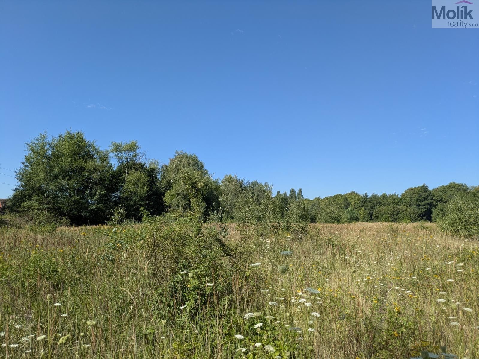 Prodej pozemku 998 m² - foto 9