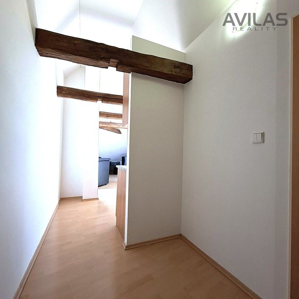 Pronájem bytu 1+kk 48 m² - foto 9