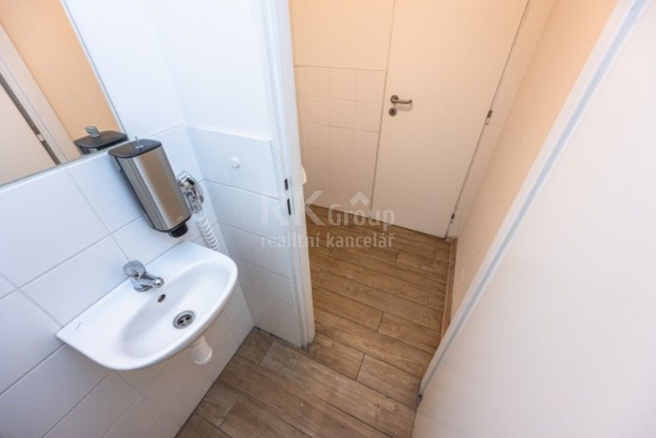 Pronájem komerčního prostoru 120 m² - foto 19