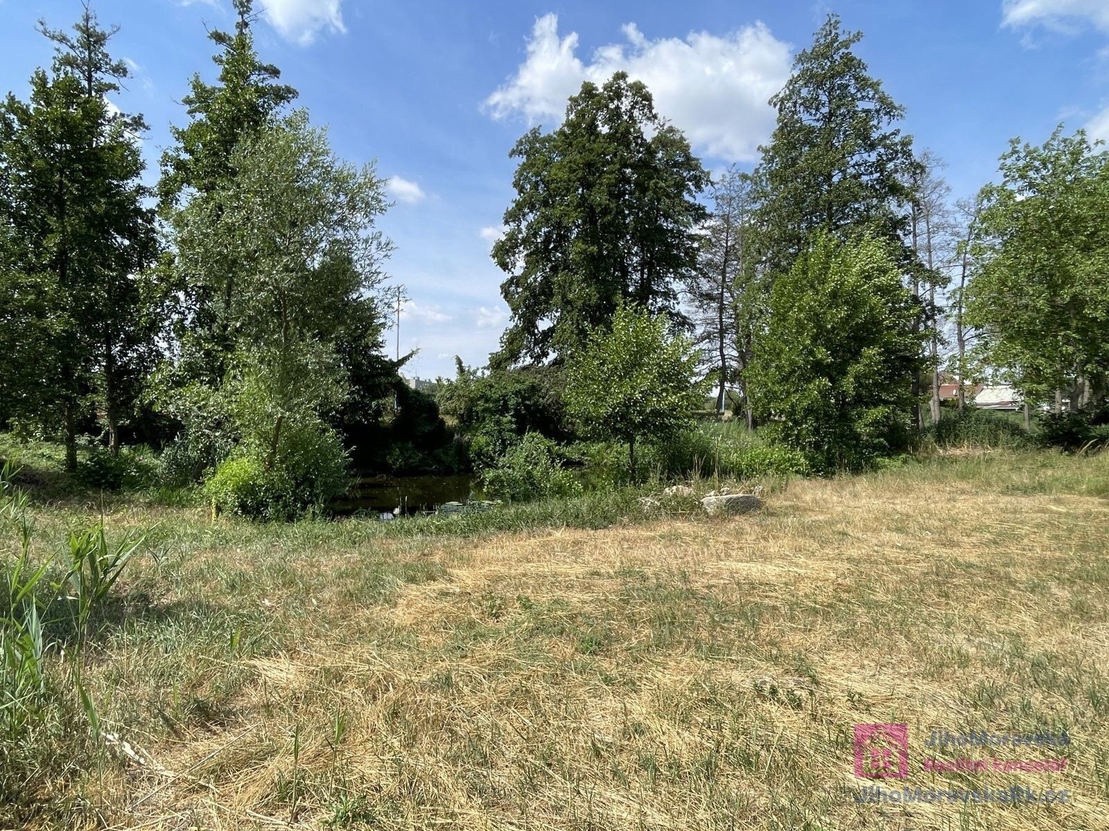 Prodej pozemku 4463 m² - foto 5