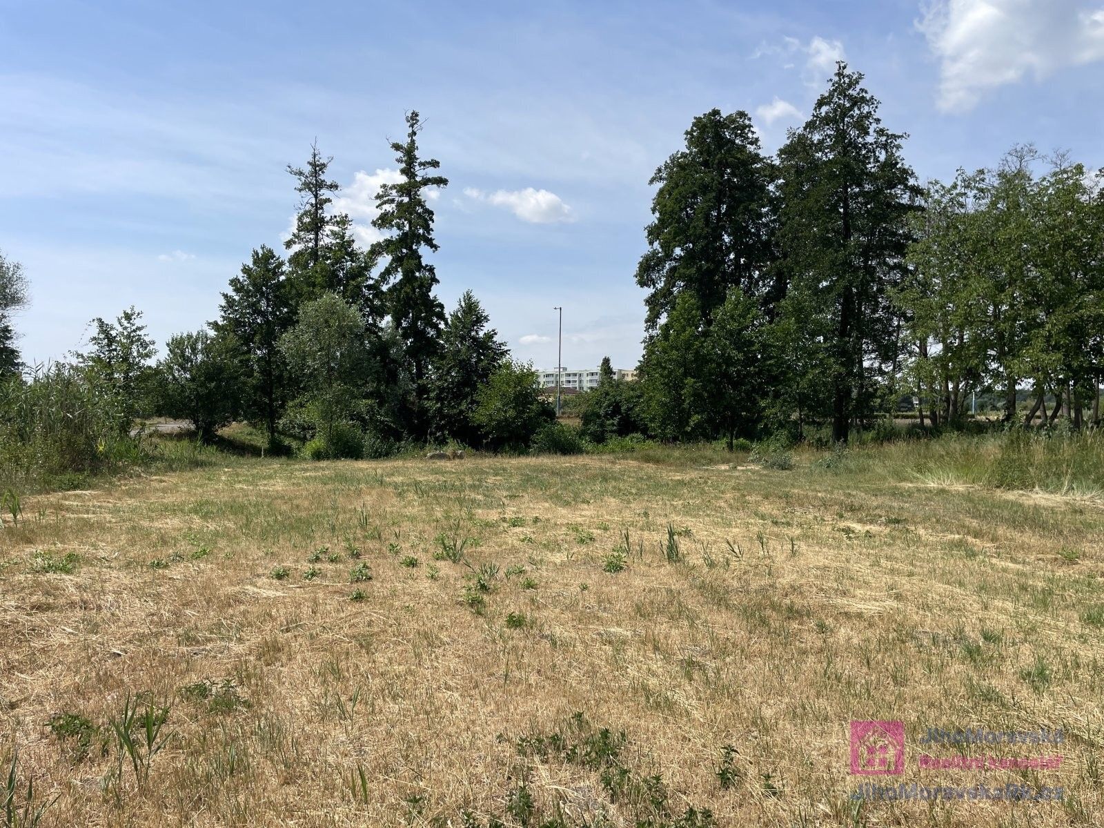 Prodej pozemku 4463 m² - foto 7