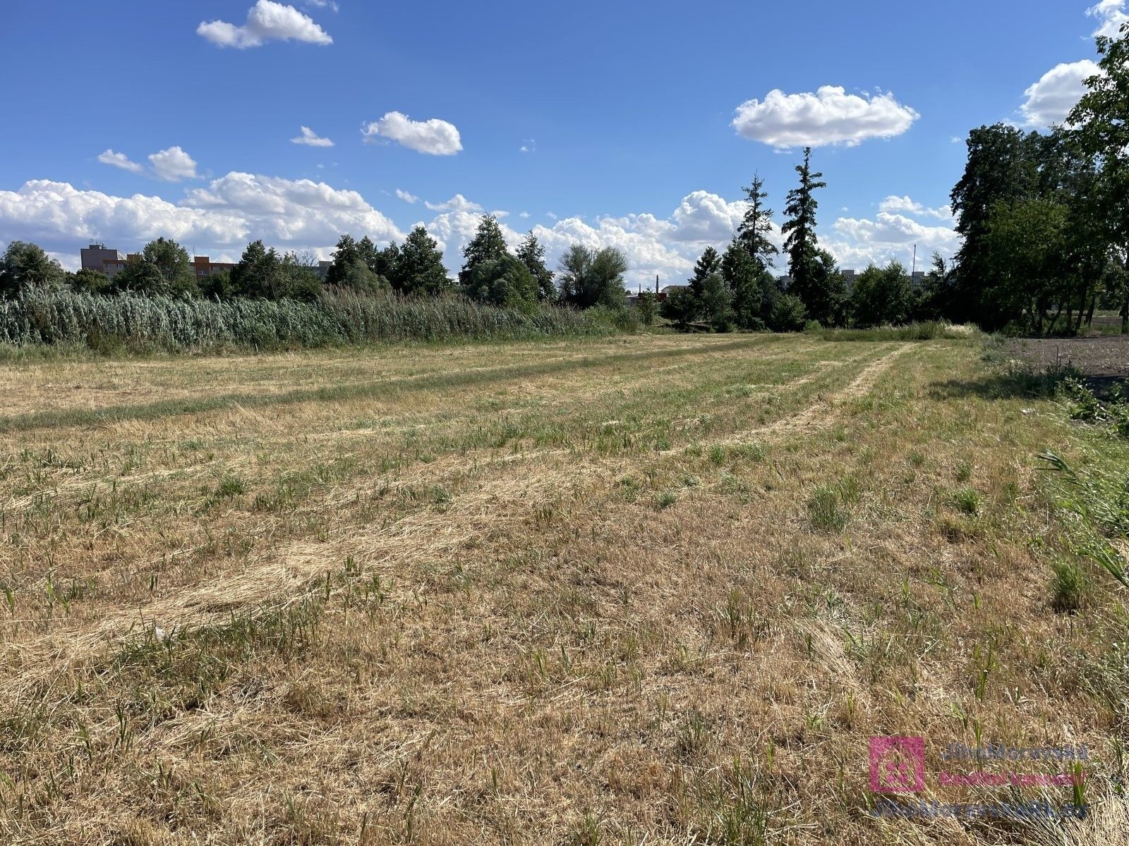 Prodej pozemku 4463 m² - foto 13