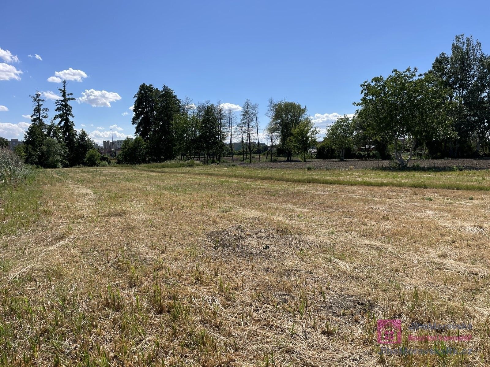Prodej pozemku 4463 m² - foto 12