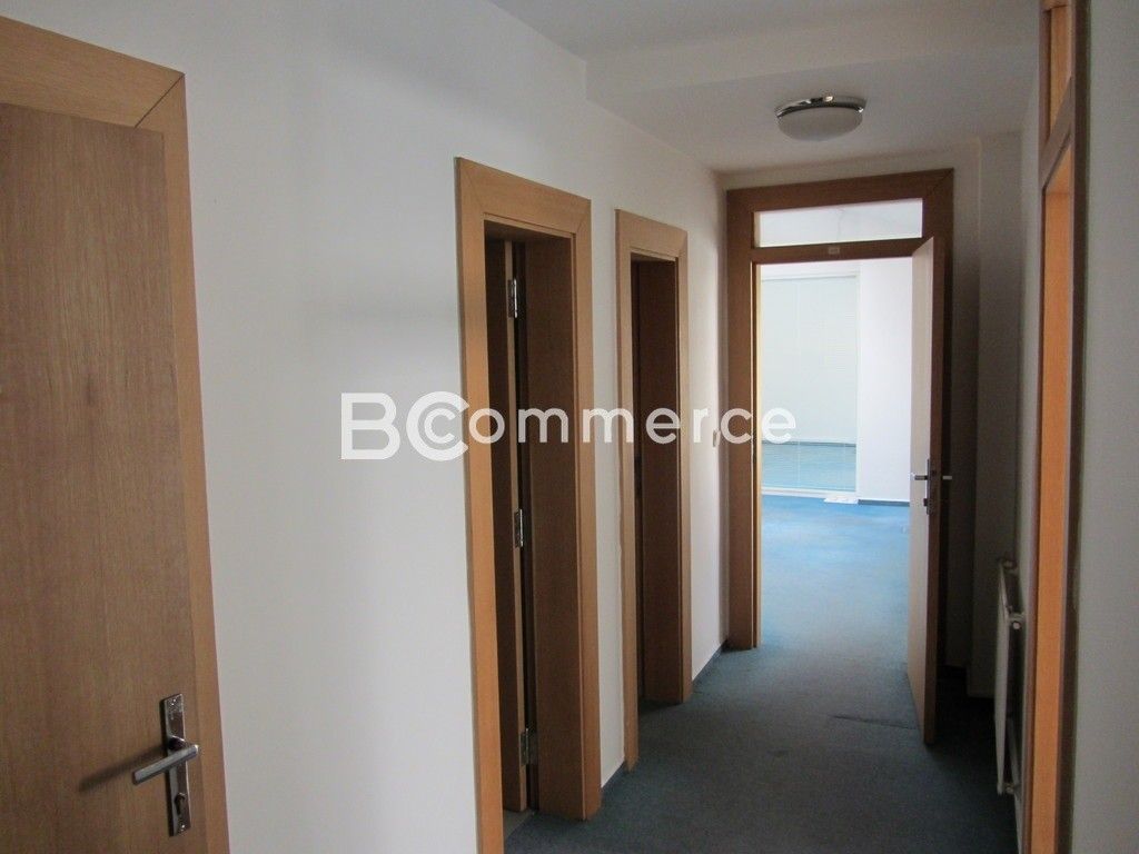 Pronájem komerčního prostoru 99 m² - foto 4