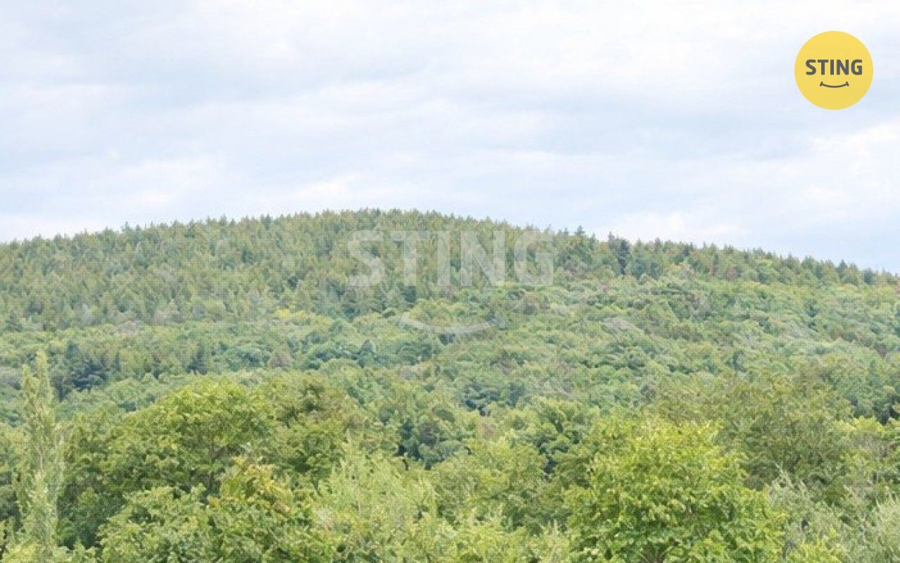 Prodej bytu 3+1 70 m² - foto 16