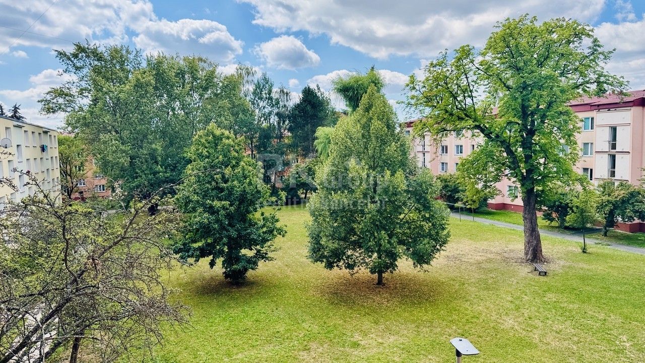 Prodej bytu 3+1 60 m² - foto 14