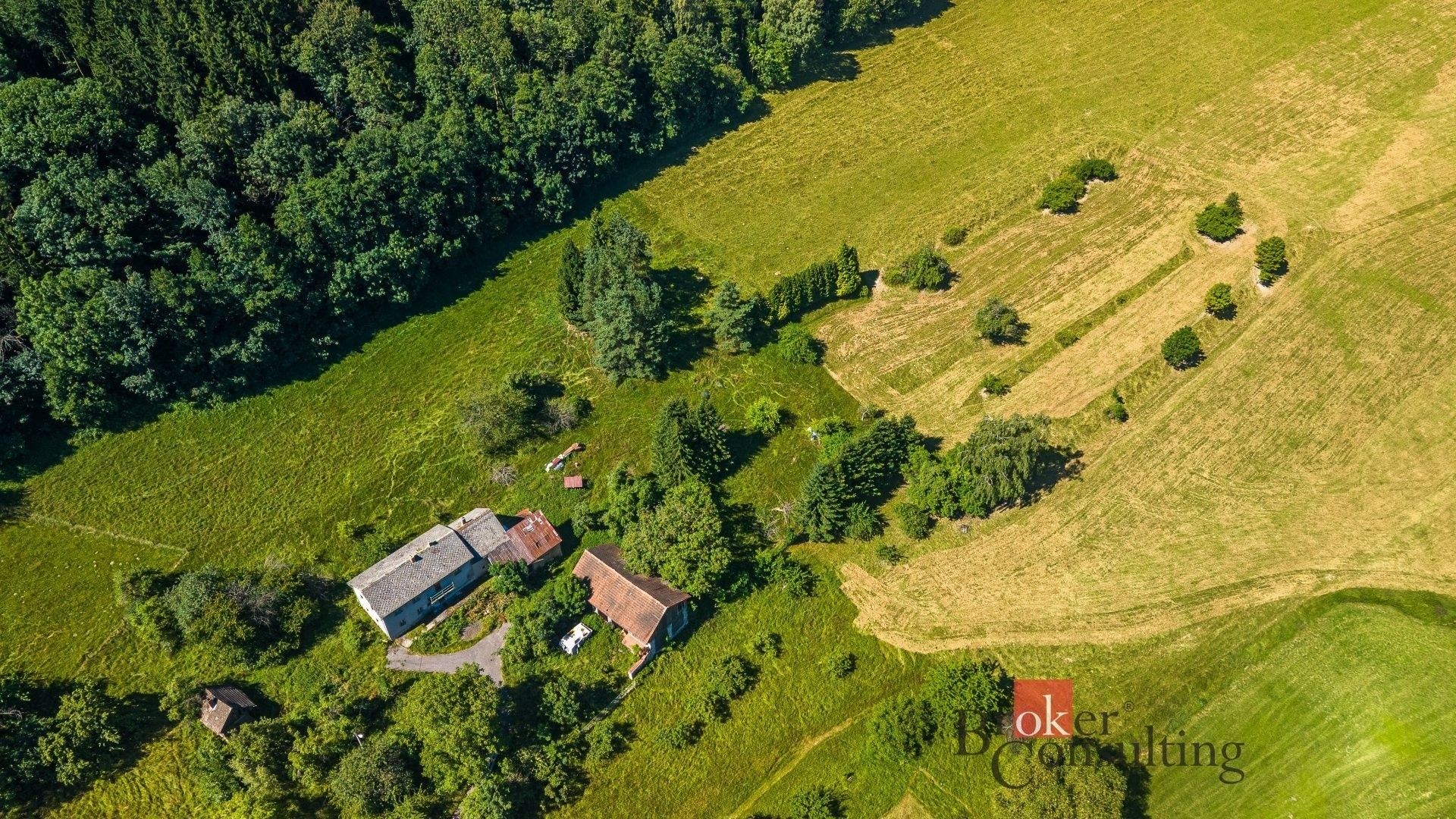Prodej domu 300 m² - foto 6
