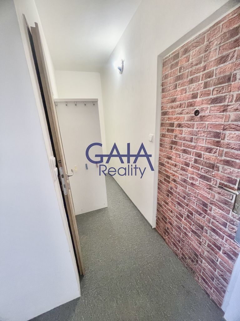 Pronájem bytu 1+1 31 m² - foto 7