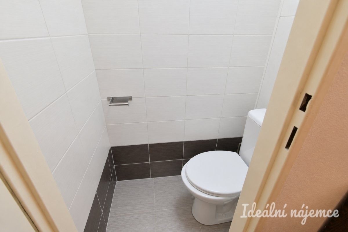 Pronájem bytu 2+1 52 m² - foto 14