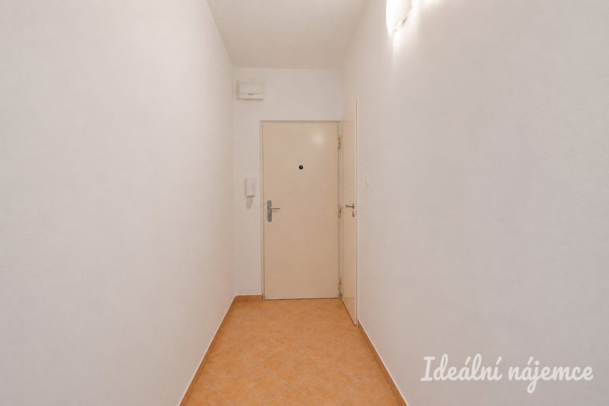 Pronájem bytu 2+1 52 m² - foto 13