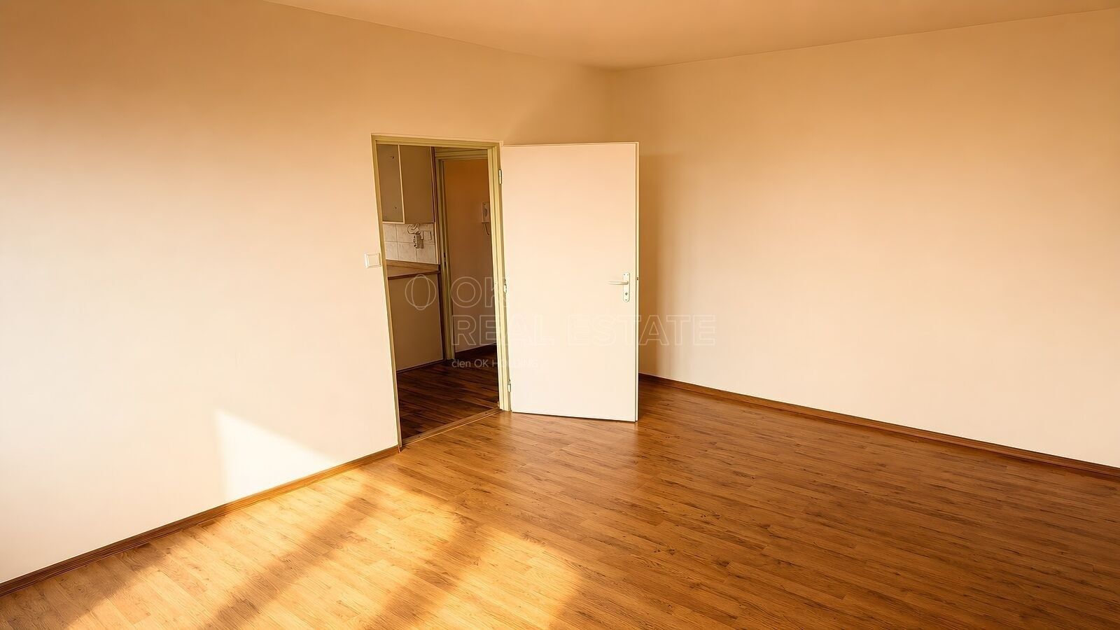 Pronájem bytu 1+1 38 m² - foto 5