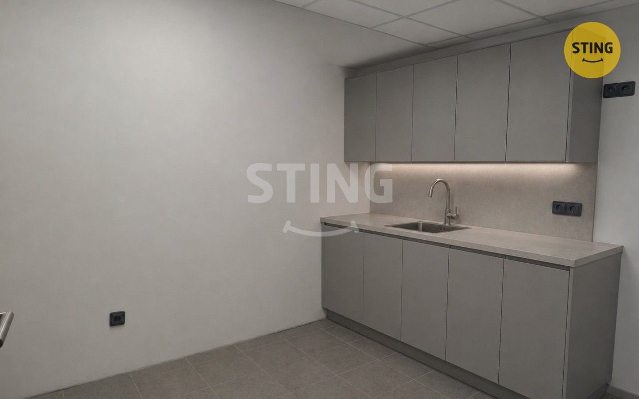 Pronájem komerčního prostoru 247 m² - foto 4