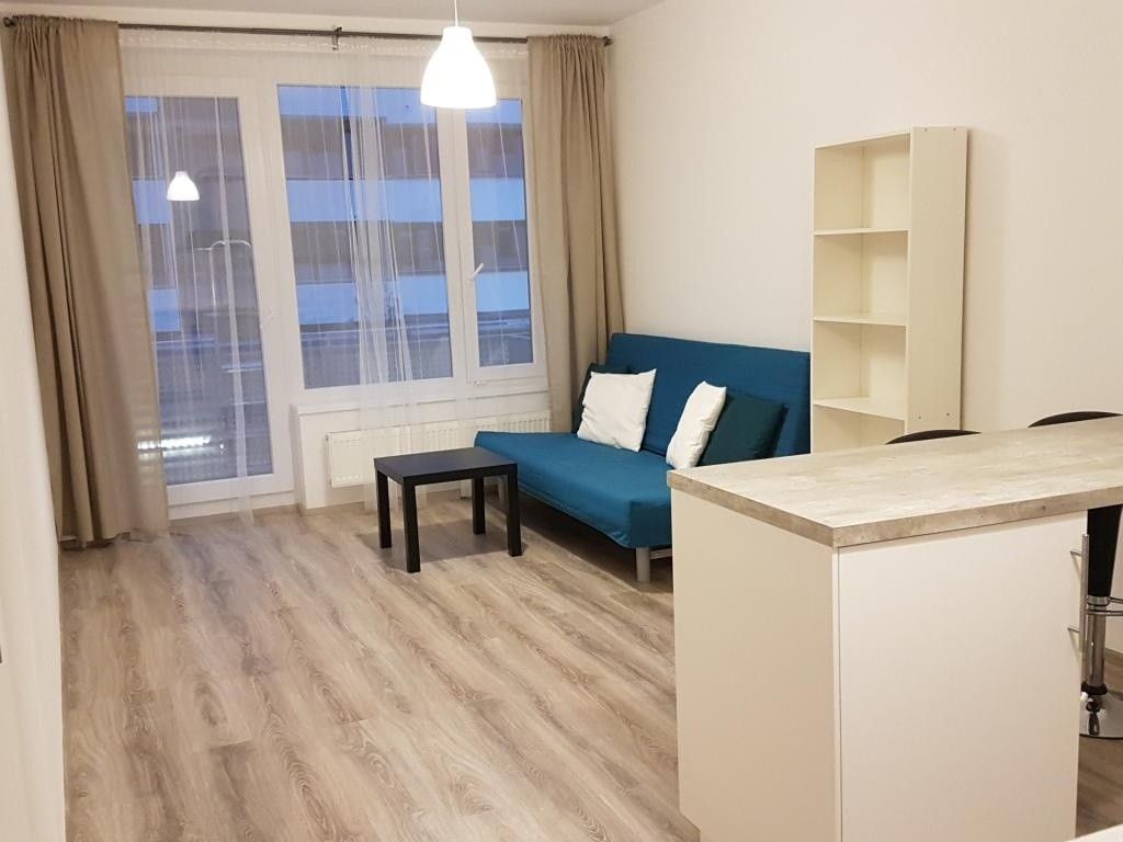 Pronájem bytu - foto 1