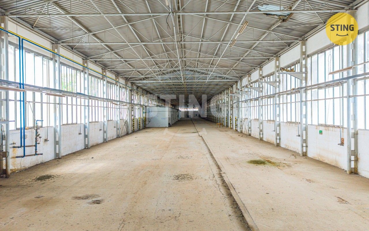 Prodej komerčního prostoru 5979 m² - foto 10