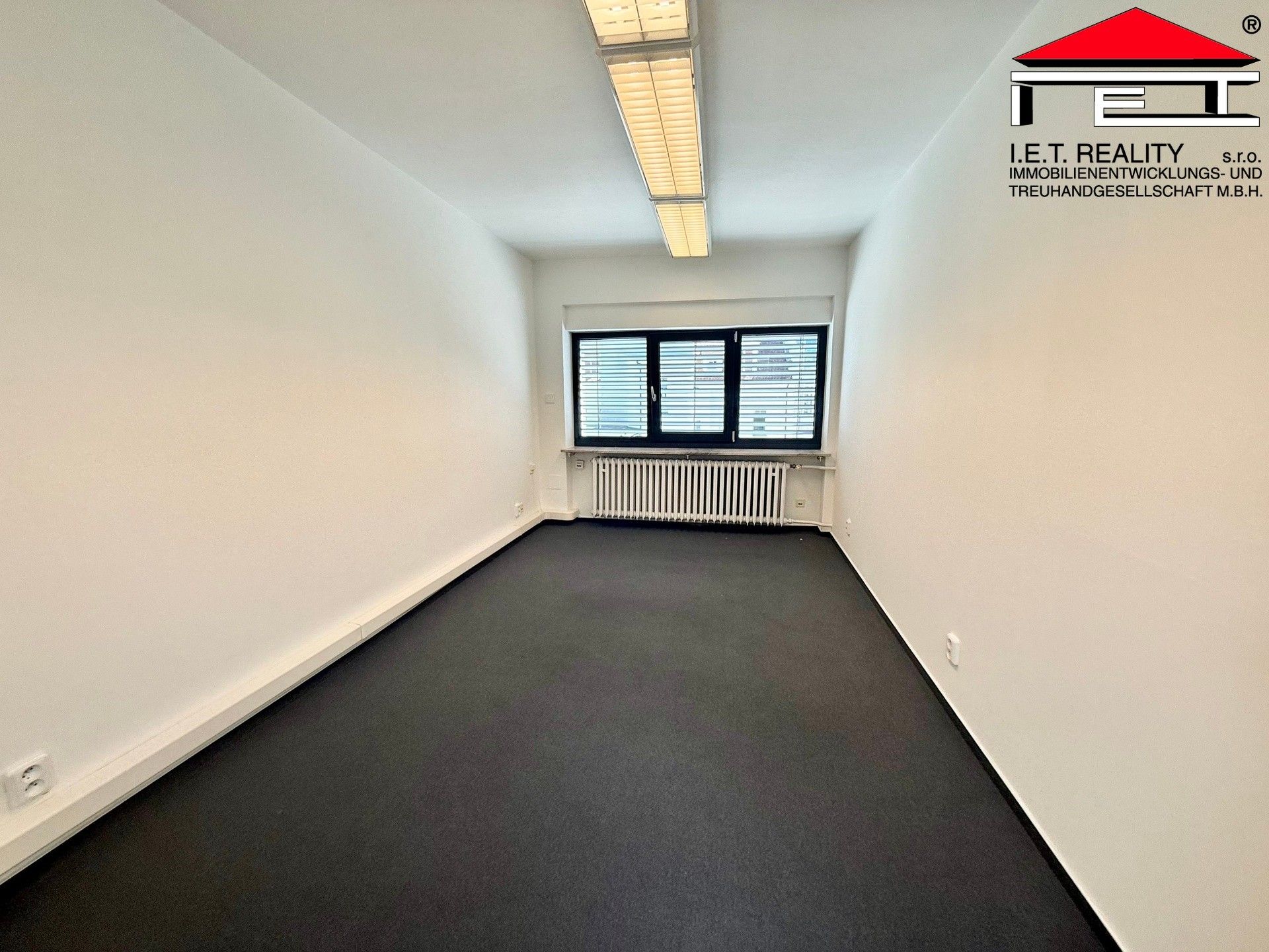 Pronájem komerčního prostoru 196 m² - foto 13