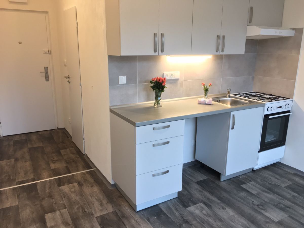 Pronájem bytu 1+1 38 m² - foto 1