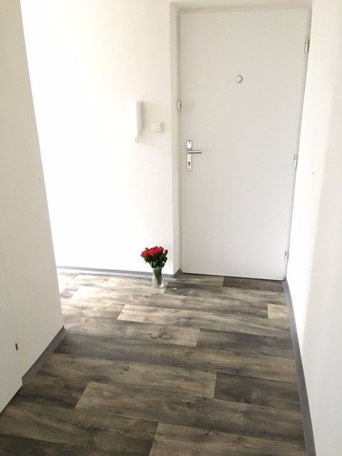 Pronájem bytu 2+1 54 m² - foto 4