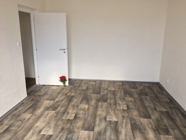 Pronájem bytu 2+1 54 m² - foto 6