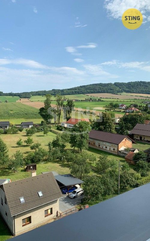 Pronájem bytu 2+1 42 m² - foto 17