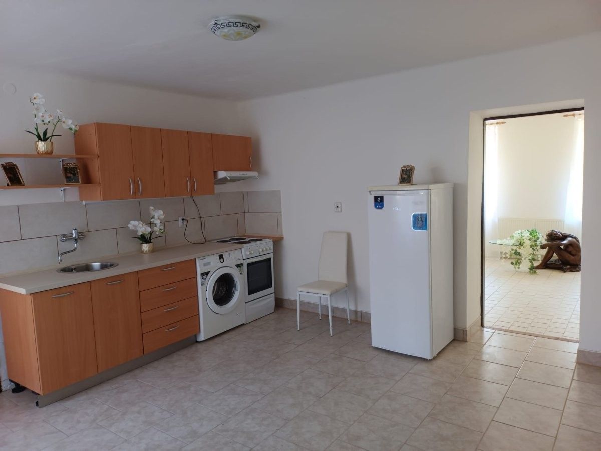 Pronájem bytu 1+1 48 m² - foto 1