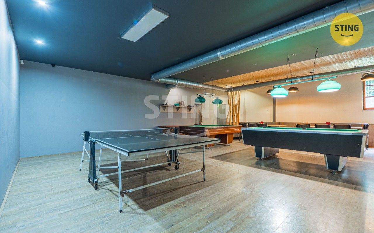 Prodej nemovitosti 539 m² - foto 13