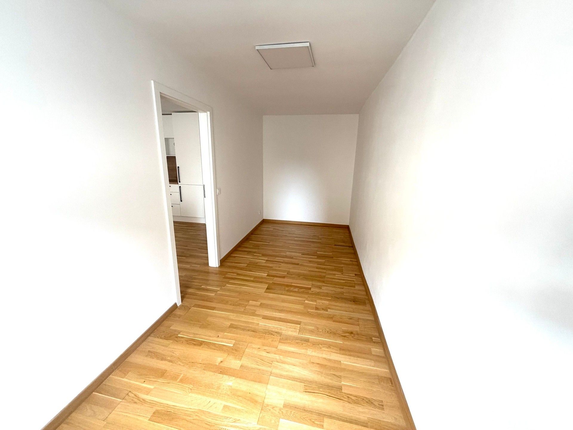 Prodej domu 473 m² - foto 6