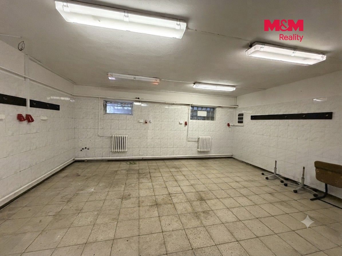 Pronájem komerčního prostoru 1000 m² - foto 5