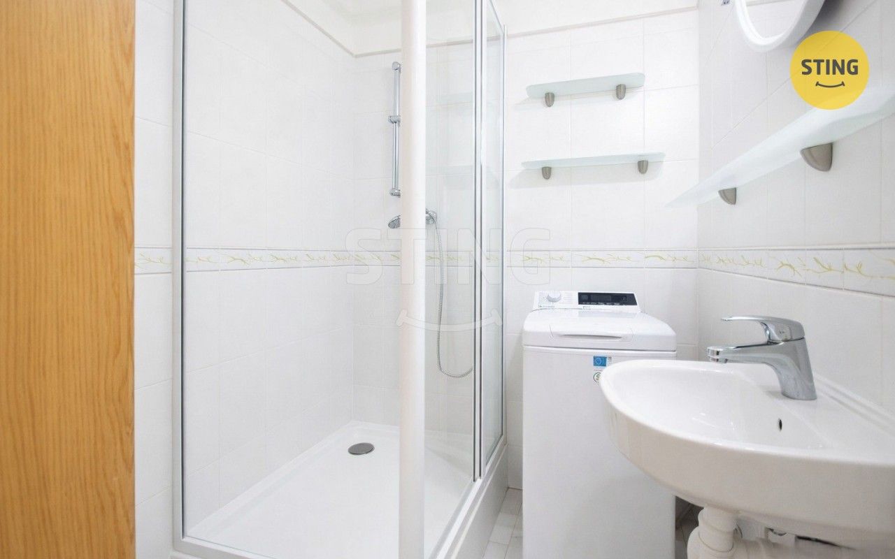 Pronájem bytu 1+1 37 m² - foto 11
