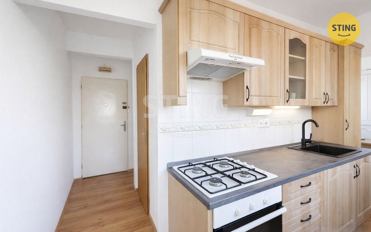 Pronájem bytu 1+1 37 m² - foto 14