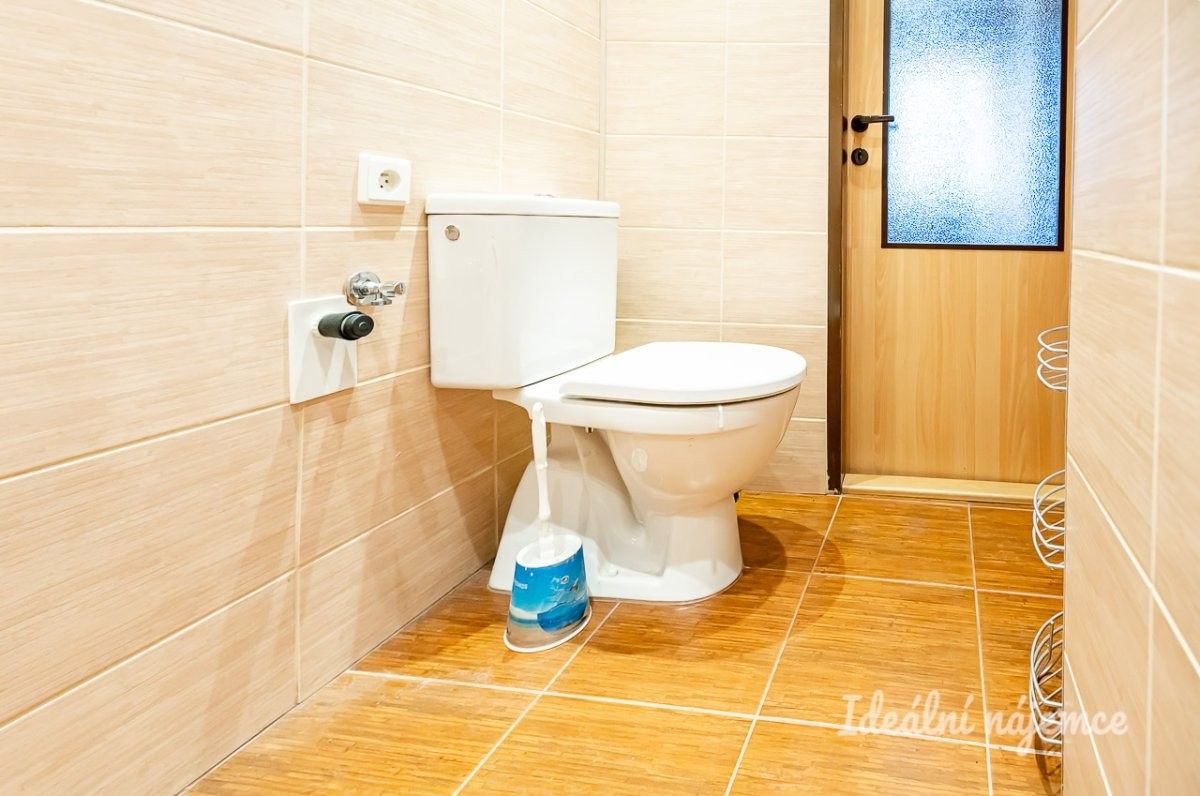 Pronájem bytu 2+1 41 m² - foto 12